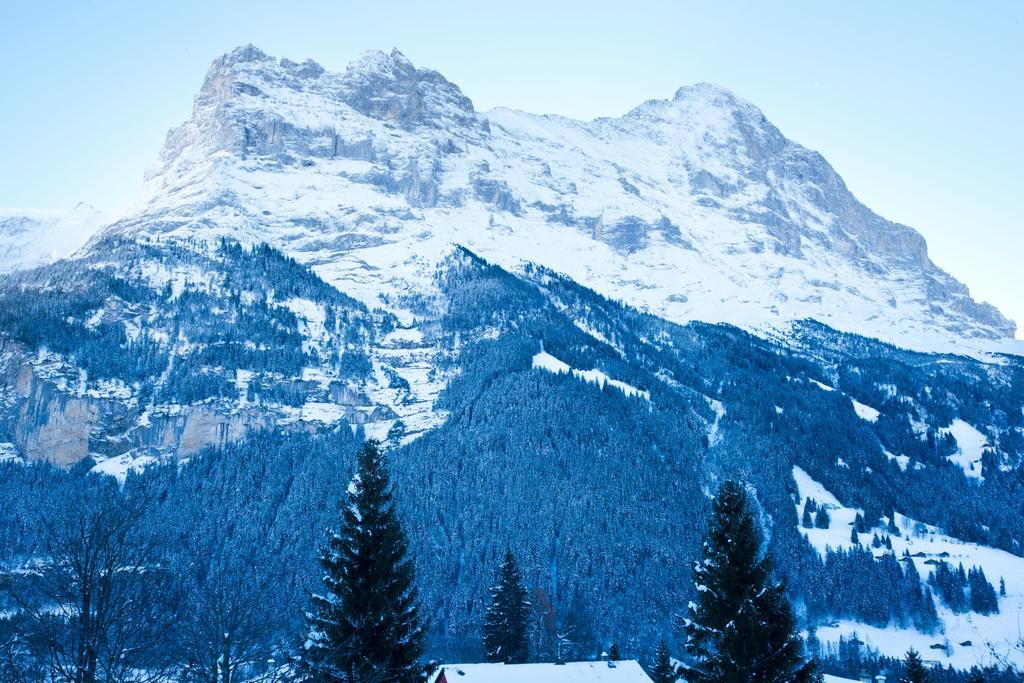 Bernerhof Appartamento *